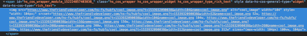 Screenshot des img-Elements mit srcset, automatisch mit unterschiedlichen Größenänderungs-URLs hinzugefügt